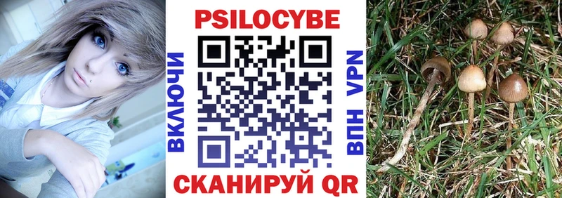 Псилоцибиновые грибы Psilocybe  Похвистнево 