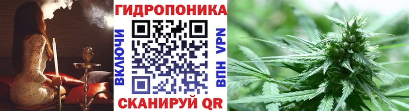 купить   Похвистнево  дарк нет формула  Конопля индика 